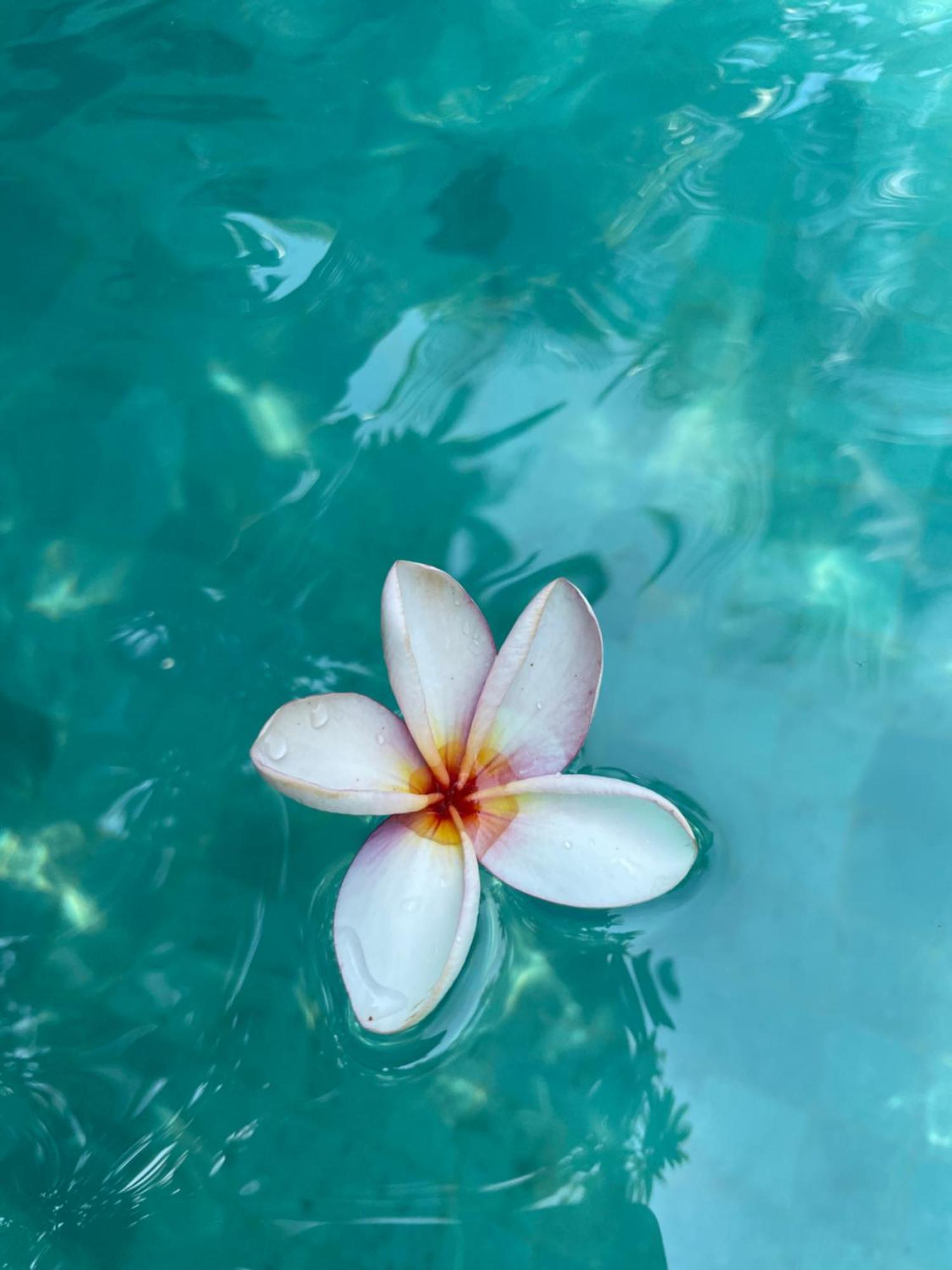 Umakayu Joglo Villa Canggu - Boutique Hotel Eksteriør billede